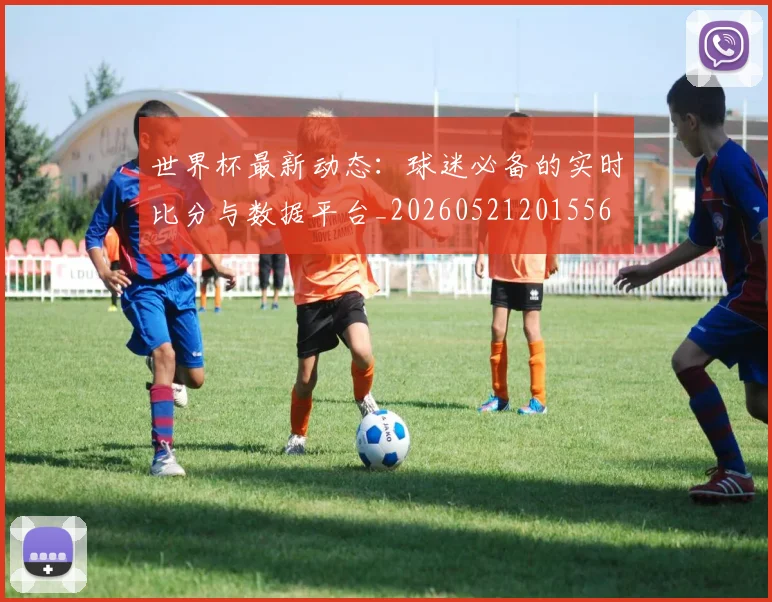世界杯最新动态:球迷必备的实时比分与数据平台_20260521201556