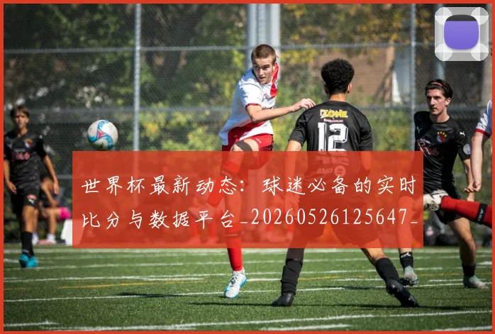 世界杯最新动态：球迷必备的实时比分与数据平台_20260526125647_20260607160355